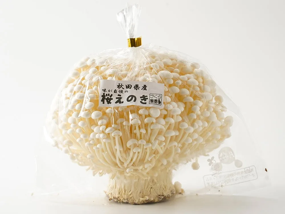 さくら農園の桜えのき(パック)