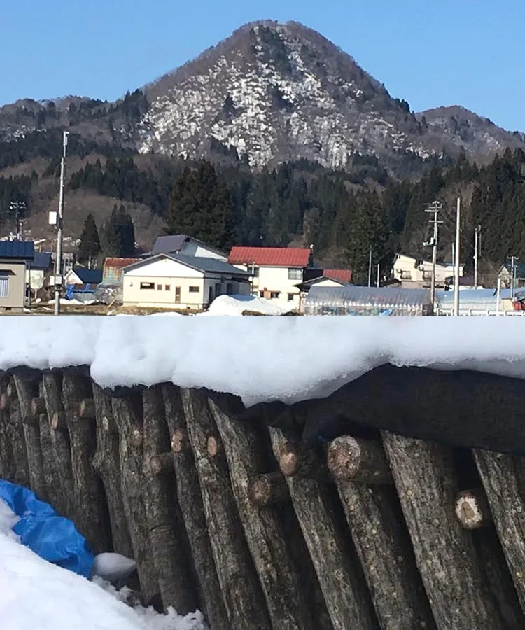 雪に包まれた秋田の山あいと、ナラの原木
